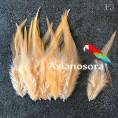 ◾️⭐︎【F3オレンジベージュ】高品質 羽根 フェザー  素材 鳥 パーツ 鳥の羽根