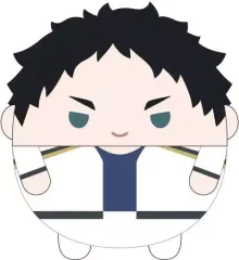 【中古】ぬいぐるみマスコット 赤葦京治 「ハイキュー!! ふわコロりんスペシャル」