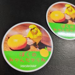 送料無料　セキセイインコ　インコ「インコ　ぼくのみかんだからね　ステッカー」（約６０ｍｍ×約６０ｍｍ）※２枚セット販売