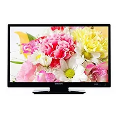 未開封、新品、未使用、日本製オリオン 24V RN-24DG10 TV RN-24DG10