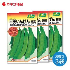 いんげん 種 ３袋セット スジなしで甘味が強い 寒さに強い 家庭菜園 畑 平莢インゲン 穂高 野菜の種 カネコ種苗