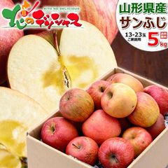 【出荷間近/11月中旬(11月18日)頃～出荷】 山形県産 ご家庭用 りんご サンふじ 5kg (訳あり/13玉～23玉入り) 旬 ふじ リンゴ 林檎 わけあり ご自宅用 ご家庭用 お家用 お得 お買い得 果物 フルーツ 山形県 山形県直送 グルメ お取り寄せ