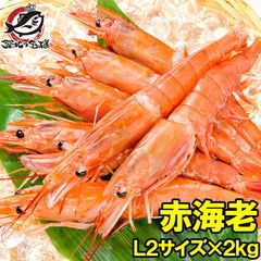 赤海老 赤えび 2kg 特大 L2 40〜60尾 業務用 1箱 お刺身用。ぼたん海老を超える希少な超特大！大きくプリプリの赤海老は甘みが違う。赤えび 赤エビ あかえび アカエビ アルゼンチン 寿司 バーベキュー ＢＢＱ 築地市場 豊洲市場