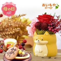 【おいもや公式】母の日限定 一寸 【柴犬(茶)】犬グッズ プリザーブドフラワー どら焼き おしゃれ 可愛い スイーツ お菓子 和菓子 インテリア 雑貨 造花 ミニ (お届け時期:5/5～11のいずれか)