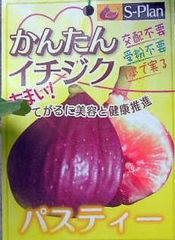 いちじく★パスティー「パスティリエ」★フランス産の赤ワインのような香り
