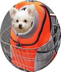 Item thumbnail for item 3a892842-bc98-492e-a59d-a5085bbb8224