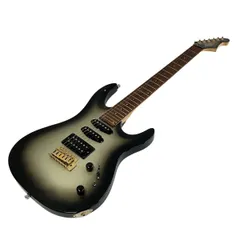 アリアプロ2 アクアノートシリーズ 珍品 軽量