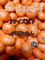 【小玉みかん】三ヶ日青島みかん ご家庭用5kg 【農家直送】