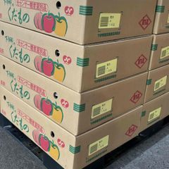 長野産　　南水梨　約2.5ｋｇ　1ケース