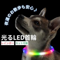 光る首輪 LED お散歩 ペット 首輪 七色 虹色 犬 ドッグ 夜 散歩