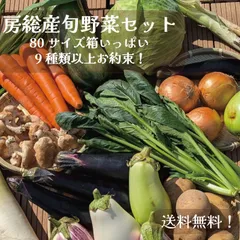 【80サイズ箱にギッシリ！房総産・大地の恵みを味わう得々野菜セット】当日採れたて直送！