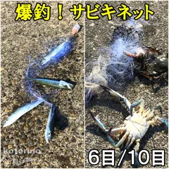 2024年最新】カニカゴ カニ網の人気アイテム - メルカリ