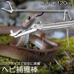 Item thumbnail for item c95197f2-ca46-4d38-9fc6-fc4a2f51f27e