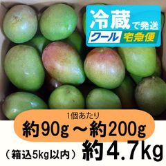 摘果マンゴー グリーンマンゴー 青マンゴー 10kg 小さめ 沖縄県産 摘果マンゴー(グリーンマンゴー)※小さめです！ ｜ 野菜