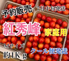 101 予約販売　北海道産　さくらんぼ　紅秀峰　Mサイズ　1キロ