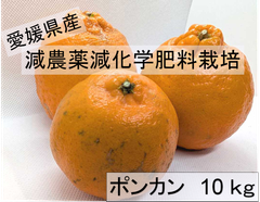 愛媛県産　減農薬　ポンカン　10kg