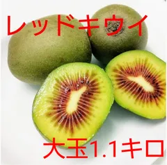 2026年最新】キウイ花粉の人気アイテム - メルカリ