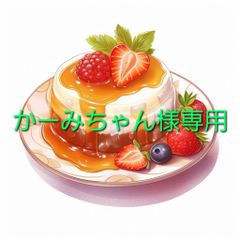 かーみちゃん様専用