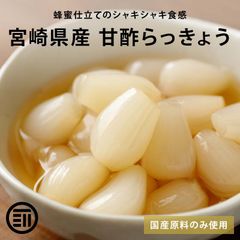 前田家 無添加 らっきょう 甘酢 計450g 150g×3 蜂蜜入り 国産 宮崎県産 着色料不使用 保存料不使用 プレミアム カレー チャーハン おつまみ