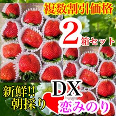 常温★DX恋みのり 2箱セット ☆かんちゃん農園の甘いいちご