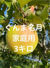 青森県産りんごぐんま名月家庭用3キロ
