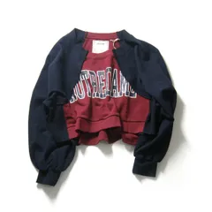 【新品】 etsinta ／ エシンタ　リメイク スウェット ラグラン クロップド プルオーバー トレーナー 短丈 ショート丈 ネイビー エンジ ｜ 秋冬