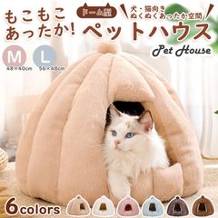 Item thumbnail for item e4f13cae-5ed5-43b2-a1c4-6e1c7b942905