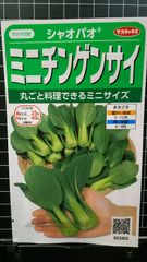ミニ チンゲンサイ シャオパオ 種 ３袋セット
