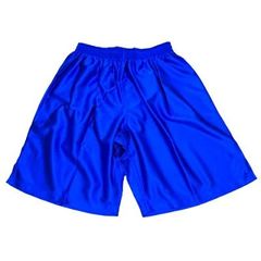新品　サッカーパンツ　ウンドウ　ロイヤルブルー　P8001
