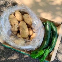 新鮮野菜セット ズッキーニとじゃがいも 詰め合わせ - メルカリ