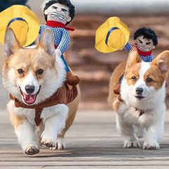 ペット 犬服 おっさんカウボーイ ロデオ 【背中乗り】 小型犬 中型犬 ハロウィン グッズ ペット コーギー 柴犬 ペット 洋服 犬の服 ペット