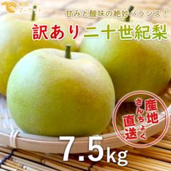 【訳あり】鳥取県産　二十世紀梨　7.5kg