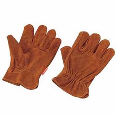 Item thumbnail for item 9ff53327-3f58-4038-b050-33526285031c