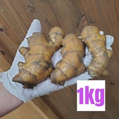 小ぶりこま割れ土付き囲い生姜1kg