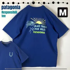 パタゴニア/patagonia★ブレーズ•エム•レスポンシビリティー/Blaze 'Em Responsibili-Tee★USAメンズM   #2506J018