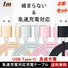 USB Type-C タイプC 1m 2本 充電ケーブル 急速充電 送料無料