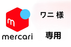 ワニ 様 専用