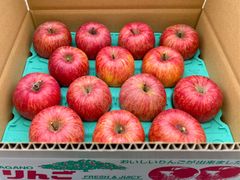 信州産「赤田の家」サンふじ　14個入り5k箱