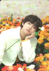 BTS LYS Japan ミニフォト コンプリート テヒョン テヒョン ミニフォト sys コンプリート＋4枚