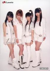 【中古】生写真(女性) StylipS/石原夏織・能登有沙・小倉唯・松永真穂/1stシングル「STUDY×STUDY」アニメイト購入特典ブロマイド