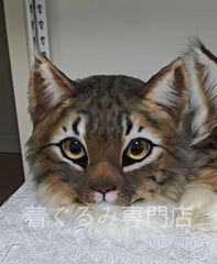 C フランスアンティーク LOULOU パジャマドッグ ビスクドール ブドワール C フランスアンティーク LOULOU パジャマドッグ ビスクドール