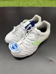 2025年最新】モレリアDNAの人気アイテム - メルカリ