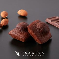 フィナンシェ ミニ 小さい 一口サイズ ひとくち アーモンド チョコレート 個包装 洋菓子 おやつ スイーツ 国内製造 国産 アーモンド風味 【sm00010410】