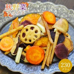 【セール開催中！】大地の生菓 7種類の根菜とお芋の秋野菜チップス230g 野菜スナック お菓子 クリスマス ギフト プレゼント 人気 おやつ こども ドライフルーツ 送料無料 訳あり割れあり