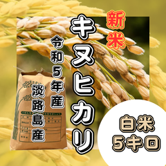 新米 令和5年産 キヌヒカリ  白米5キロ 淡路島産 産地直送