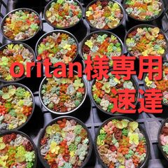 oritan様専用