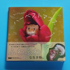 ちいさなかわいいハーベストマウス/MdN編集部☆動物写真集