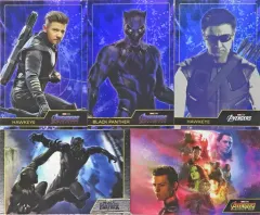 【中古】キャラカード ブラックパンサー メモリカードカードコレクション(5枚組) 「Happyくじ MARVEL インフィニティ・サーガ」 D賞