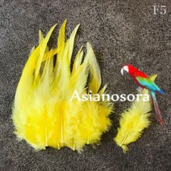 ◾️⭐︎【F5黄色】高品質 羽根 フェザー ハンドメイド 素材 鳥 パーツ 鳥の羽根