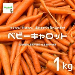ベビーキャロット（ミニにんじん、ミニ人参）　約１kg　☆農薬や化学肥料は使っておりません　※サイズ混合